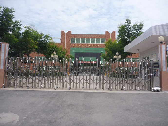 電動(dòng)無(wú)軌伸縮門(mén)